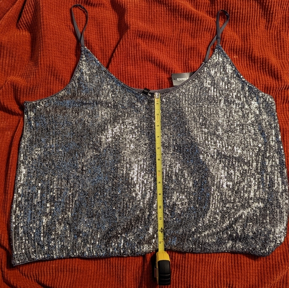 Express Sequin V-Neck Cami - Picture 4 of 4